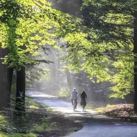 Chalet Veluwe Droom