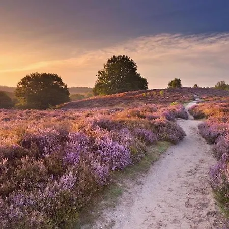 Veluwe Droom Alpehytte