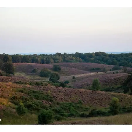 Veluwe Droom